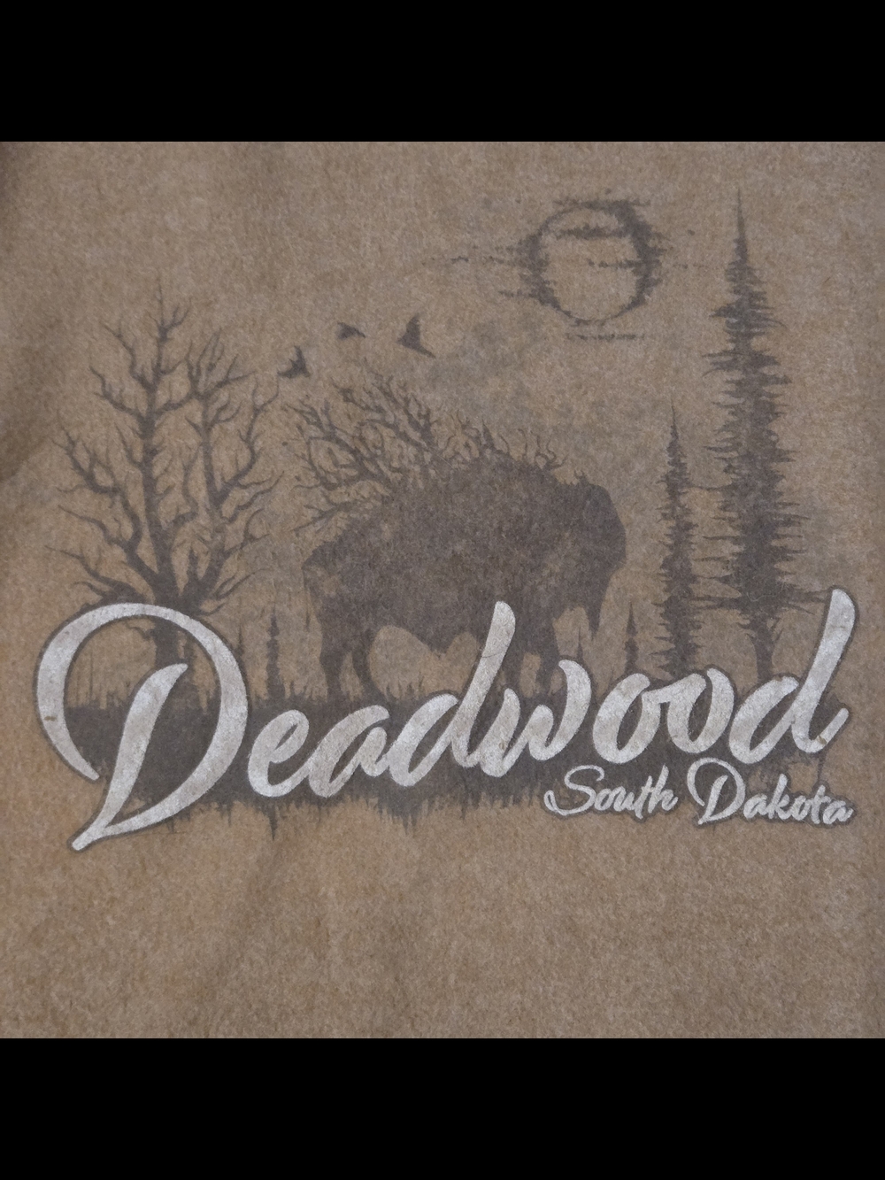 Deadwood South Dakota Graphic Tee - Brown